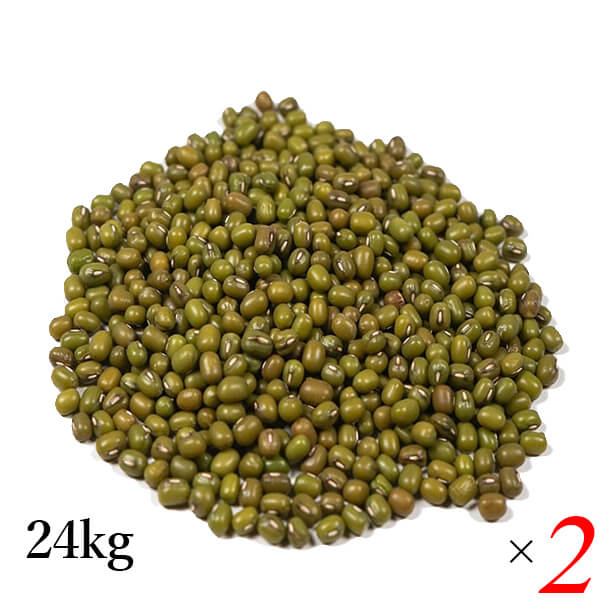 【100円クーポン!】学割6倍!ムング豆 小豆 緑豆 業務用 アリサン ムング豆 24kg 2個セット 海外認証|kunistyle