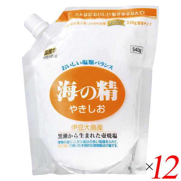【100円クーポン！】学割6倍！塩 天然塩 天日 海の精 やきしお（スタンドパック）540g 12個セット 送料無料｜kunistyle