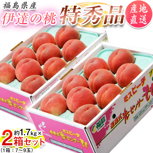 ＼お買い物マラソン 23日 20:00～／数量限定！ご予約受付中★たっぷり 3.4kg★【送料無料】【ギフト】【産地直送】 福島産 伊達の 桃 特秀品 約3.4kg 8～14玉入り (約1.7kg×2箱)「福島産もも3.4kg」 福島 JAふくしま未来 もも
