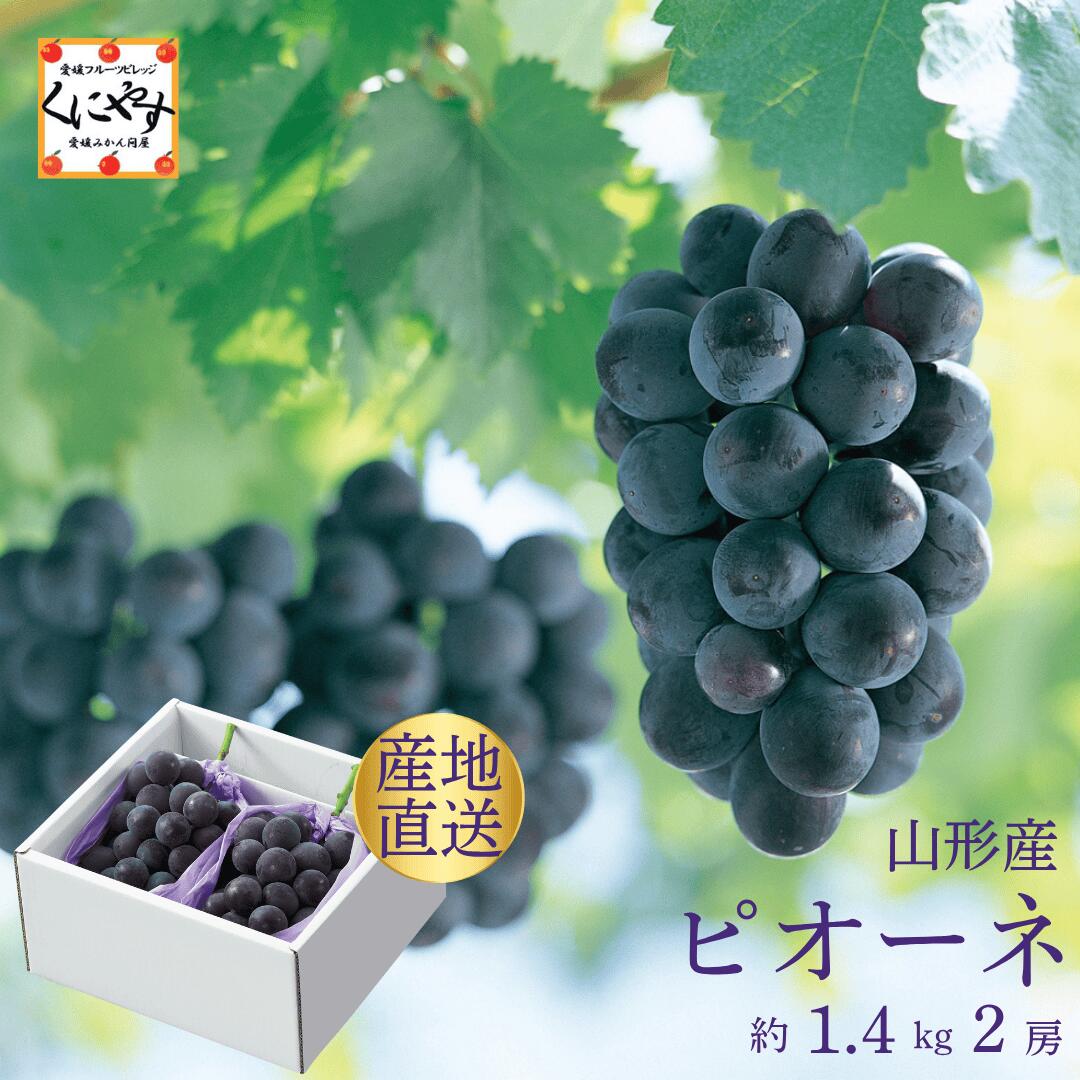 【楽天市場】\当選確率1/2！抽選で最大100％ポイントバック 20日 23:59 まで／★黒い宝石 大粒で濃厚な味わい★【予約品】9月上旬