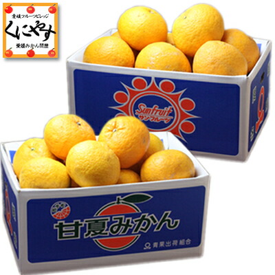 大豊作祭！期間限定 特価！＼最大100％ポイントバック 18日 0:00～／★食べ比べセット★【送料無料】【産地直送】訳あり 愛媛 甘夏と 訳あり 愛媛 サンフルーツ(新 甘夏 ) 20kg(5kg×4箱) マーマレード や ピール 作りにも「訳あり甘夏サンフル5×4」 夏みかん