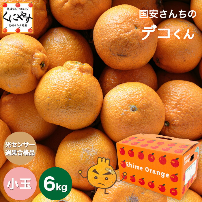 ＼最大100％ポイントバック 18日 0:00～／★糖度14.0以上酸1.4以下★【送料無料】【ギフト】【産地直送】愛媛西宇和産 国安さんちの 小玉 デコくん 6キロ (3キロ×2箱) 「小玉デコくん3×2」 デコポン は登録商標のため デコくん として販売 不知火 デコ みかん