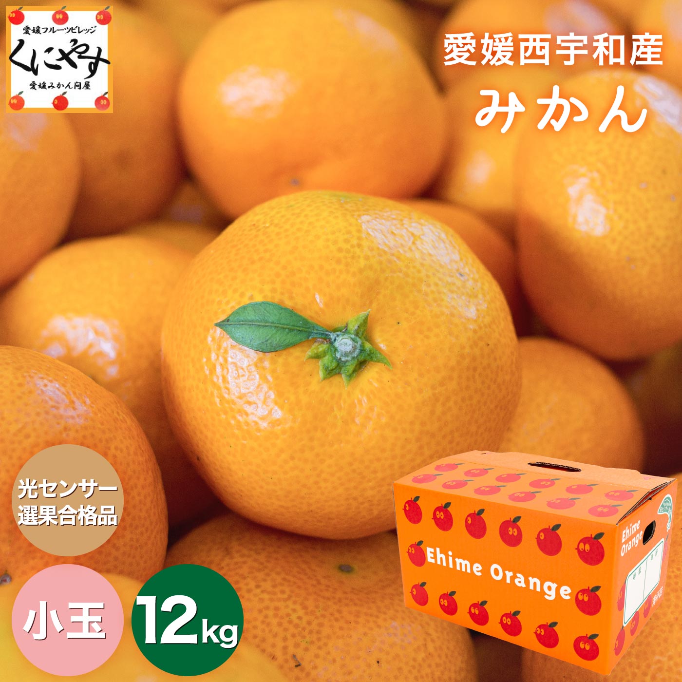 糖度11.0度以上 酸1.0以下/味センサー合格【送料無料】【お歳暮】【ギフト】【産地直送】愛媛西宇和産小玉みかん3kg×4箱 2S-S玉「小玉みかん12」日の丸みかん/川上みかん/真穴みかんと同一産地