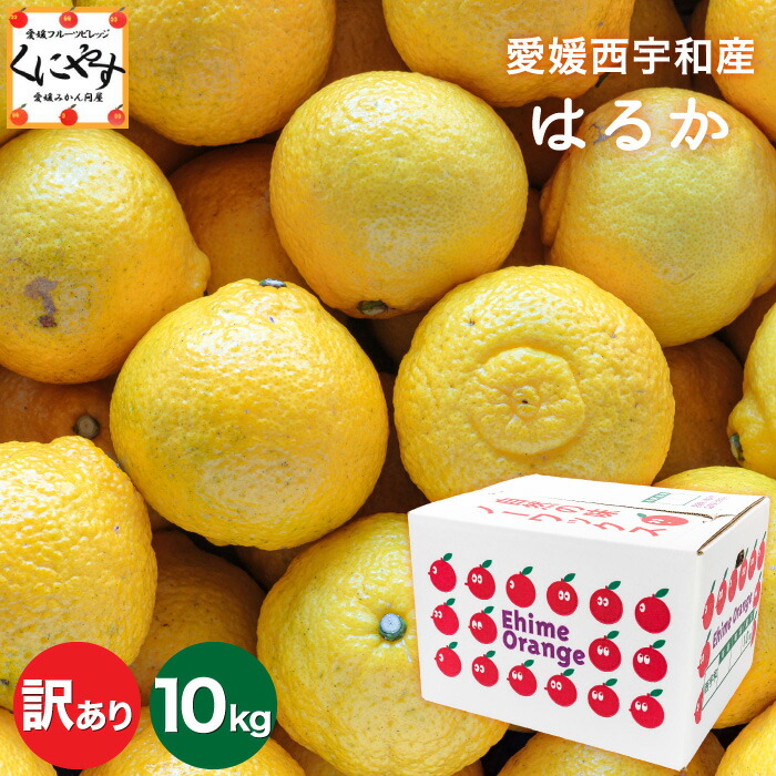 楽天市場】はるか みかん (約5kg) 長崎産/愛媛産/広島産 秀品 春を呼ぶ