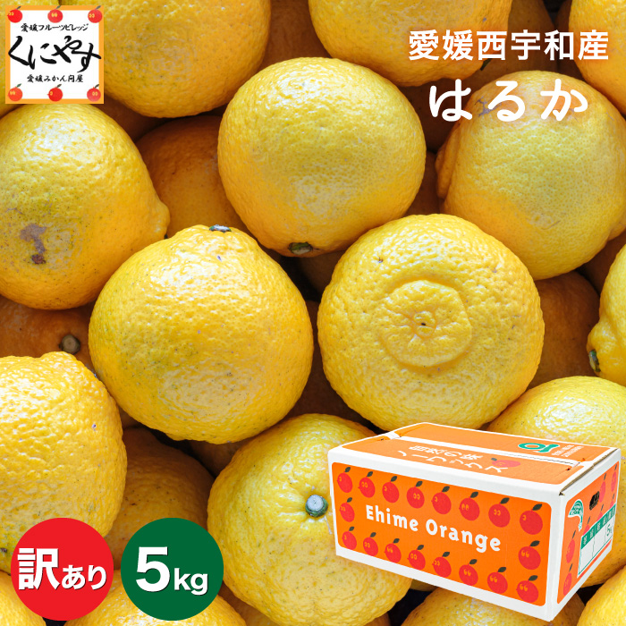楽天市場】3営業日以内出荷可能♪愛媛産 はるか 20kg 訳あり【送料無料