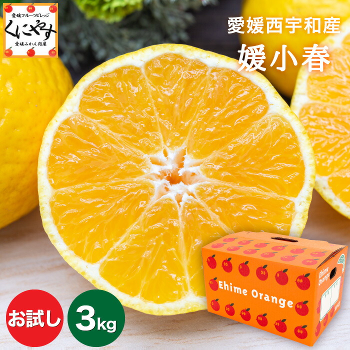 楽天市場】＼ポイント最大47倍！お買い物マラソン開催中／☆愛媛県限定