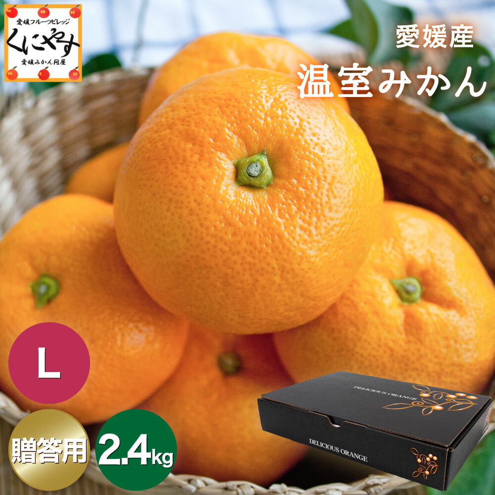 楽天市場】＼最大22倍！超ポイントバック祭 13日 10:00