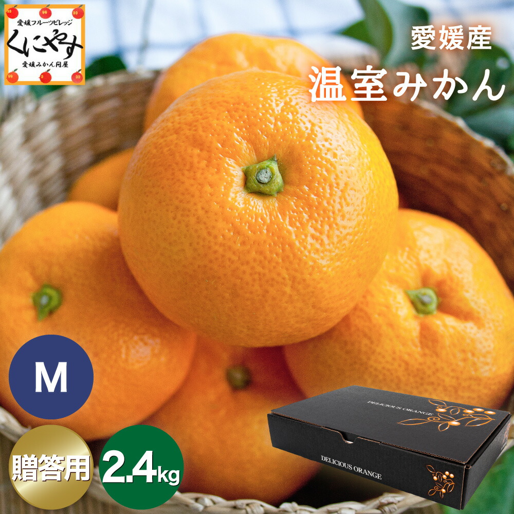 あるみかん　うんていタイプA 室内　高さ＋10cm 幅＋20cm 楽天市場】＼ポイント4倍！30日 0:00～／☆温室育ちだから高糖度