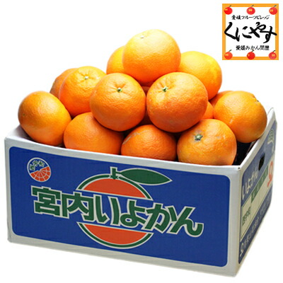 楽天市場 蜜るいよかん通信販売 愛媛県保内共選ブランドの伊予柑を販売取寄 約5ｋｇ 愛媛産 果物百貨店 浜中屋