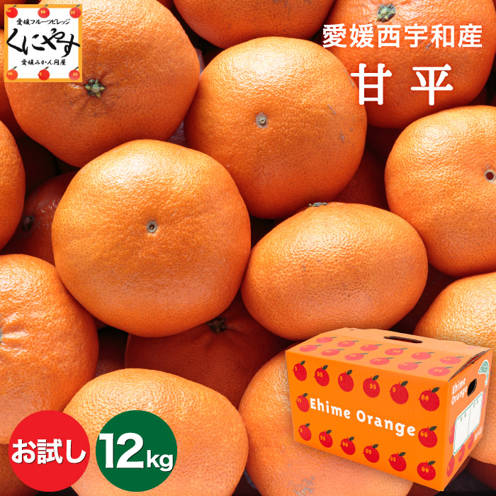 89％以上節約 ㊙️ 愛媛県宇和島産 爺の甘平 Aランク品 箱別約3kg 柑橘