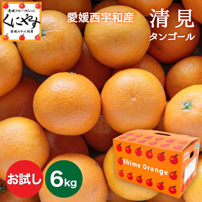 大豊作祭！特価！＼最大100％ポイントバック 18日 0:00～／★まるで食べるジュース！越冬完熟品★創業86年 愛媛 みかん の老舗【送料無料】【ギフト】【産地直送】愛媛西宇和産 清見タンゴール お試し6kg (3kg×2箱)「お試し清見3×2」 デコポン せとか の母 清見オレンジ