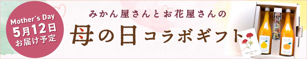 楽天市場】＼在庫限り 今季終了／☆愛媛が誇る 高級みかん☆希少品種