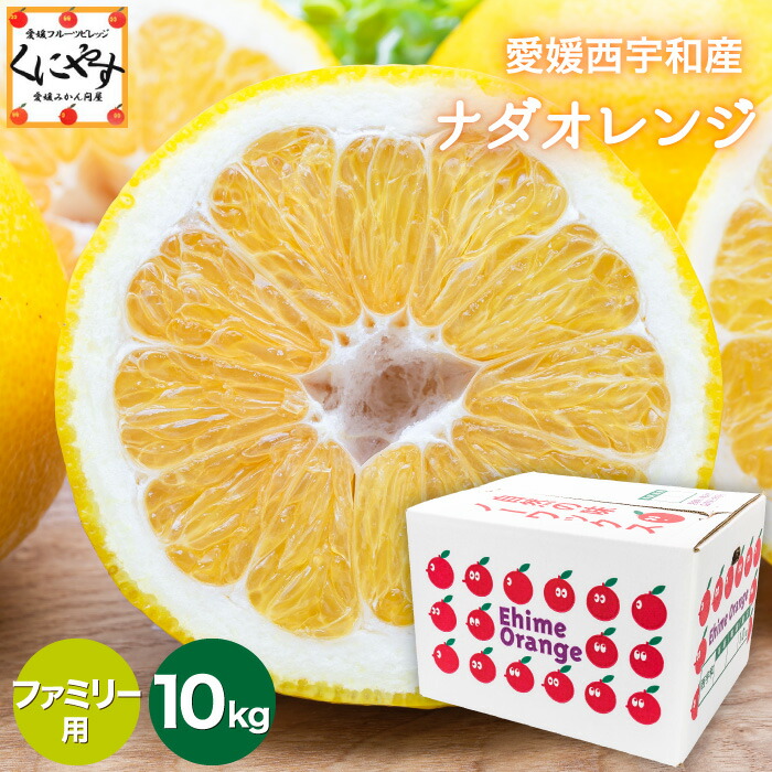 ＼枚数限定！5％OFFクーポン／★こだわり農家さん限定ブランド★【送料無料】【ギフト】【産地直送】愛媛西宇和産 ナダオレンジ ファミリー用 10kg 別名: 河内晩柑 和製グレープフルーツ 美生柑 愛南ゴールド ジューシーオレンジ 夏文旦 「Fナダオレ10」【☆】