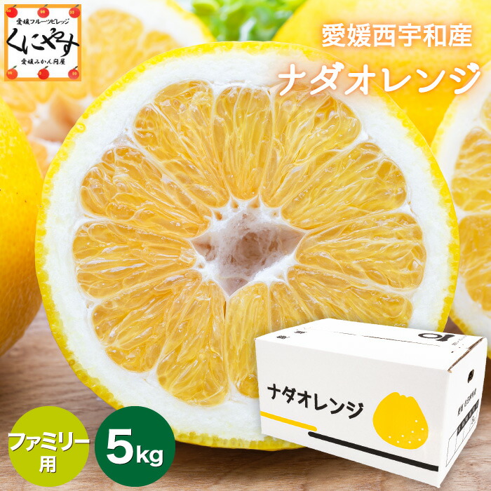 ＼枚数限定！5％OFFクーポン／★こだわり農家さん限定ブランド★【送料無料】【ギフト】【産地直送】愛媛西宇和産 ナダオレンジ ファミリー用 5kg  別名: 河内晩柑 和製グレープフルーツ 美生柑 愛南ゴールド ジューシーオレンジ 夏文旦 「Fナダオレ5」【☆】