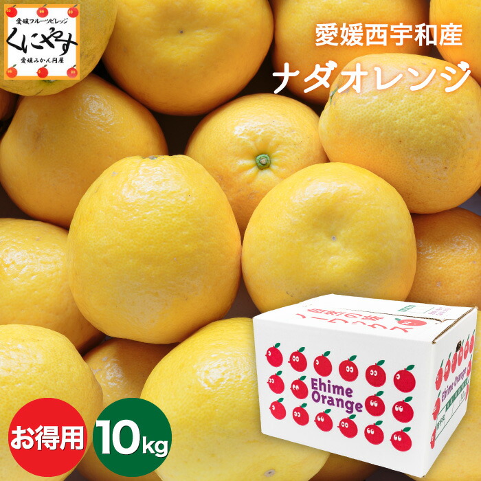 ＼枚数限定！5％OFFクーポン／★こだわり農家さん限定ブランド★【送料無料】【ギフト】【産地直送】愛媛西宇和産 ナダオレンジ お得用 10kg  (別名: 河内晩柑 和製グレープフルーツ 美生柑 愛南ゴールド ジューシーオレンジ 夏文旦 )「お得ナダオレ10」【☆】