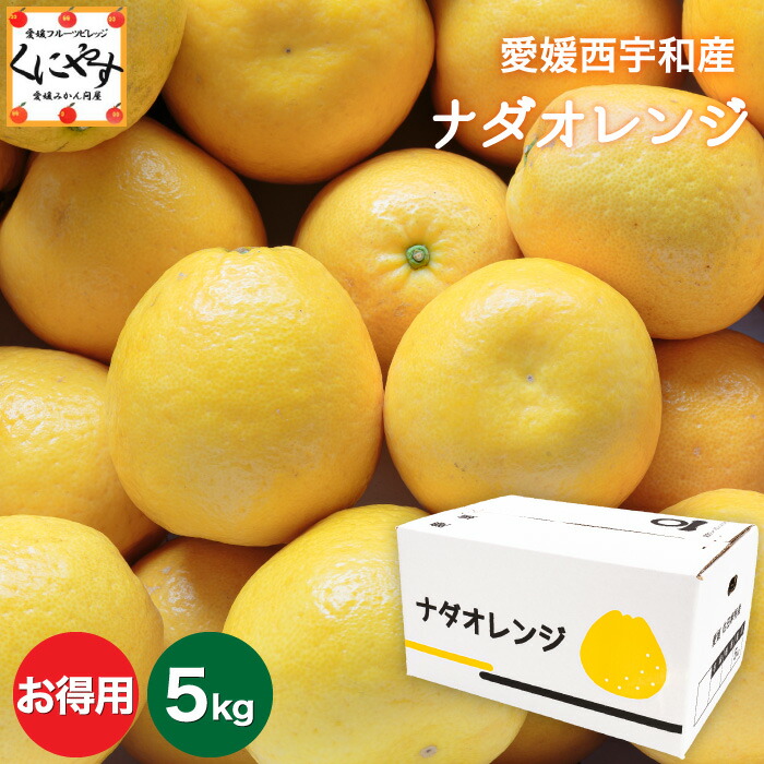 ＼枚数限定！5％OFFクーポン／★こだわり農家さん限定ブランド★【送料無料】【ギフト】【産地直送】愛媛西宇和産 ナダオレンジ お得用 5kg  (別名: 河内晩柑 和製グレープフルーツ 宇和ゴールド 美生柑 愛南ゴールド ジューシーオレンジ 夏文旦 )「お得ナダオレ5」【☆】