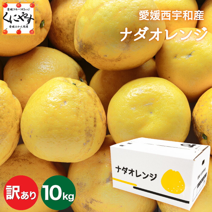 ＼枚数限定！5％OFFクーポン／★こだわり農家さん限定ブランド★【送料無料】【産地直送】愛媛西宇和産 ナダオレンジ 訳あり10kg (5kg×2箱)(別名: 河内晩柑 和製グレープフルーツ 美生柑 愛南ゴールド ジューシーオレンジ 夏文旦 )「訳ありナダオレンジ5×2」【☆】
