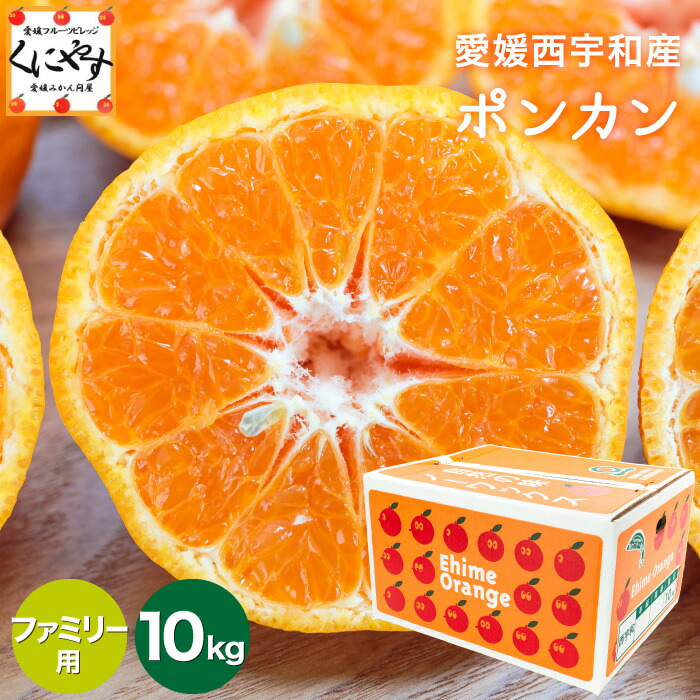 43愛媛県産 ブラッドオレンジ タロッコ 10㎏ 2025年販売中止※【送料無料】愛媛県産「ブラッドオレンジ（タロッコ