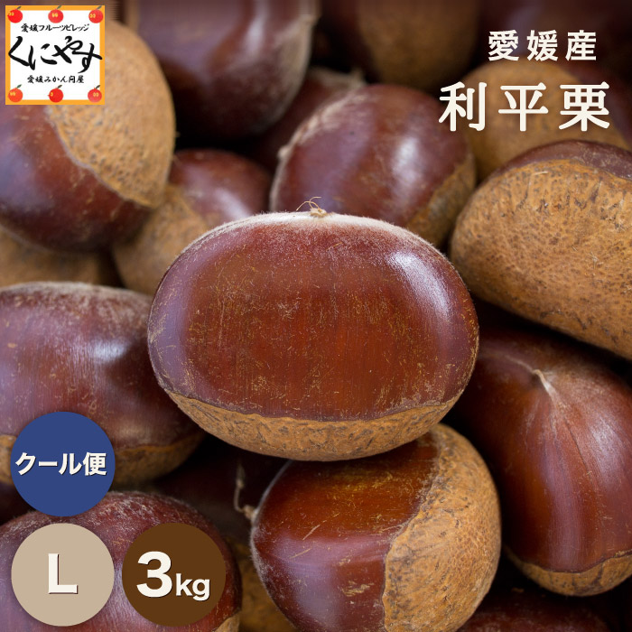 楽天市場】JA直送 熊本県産 高級和栗 「利平栗」 2.5kg JAたまな 玉名