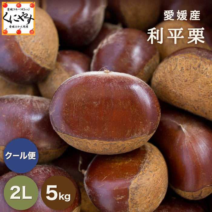 ★最高峰の幻の 栗 深い香りと濃厚な甘み★【貯蔵品】【送料無料】【ギフト】【産地直送】【厳選品】愛媛産 利平栗 2Lサイズ 5キロ「利平栗2L5」希少な逸品 見た目綺麗 贈答OK 国産 生栗 渋皮煮 和栗 くり