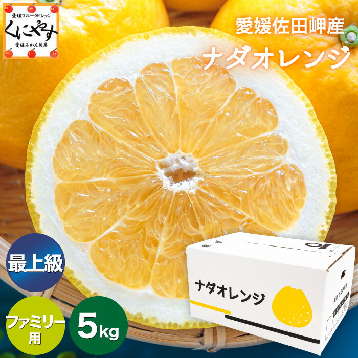 ＼枚数限定！5％OFFクーポン／★限定農家さん 大岩さん のこだわり最上級品★【送料無料】【ギフト】【産地直送】愛媛佐田岬産 ナダオレンジ ファミリー用 5kg 別名: 河内晩柑 和製グレープフルーツ 美生柑 愛南ゴールド ジューシーオレンジ 夏文旦 「F最上ナダオレ5」【☆】