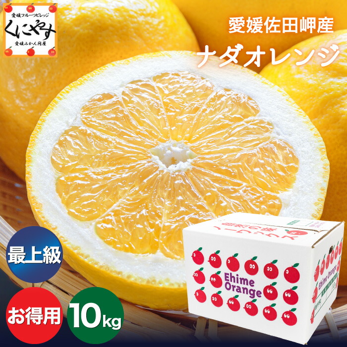 ＼枚数限定！5％OFFクーポン／★限定農家さん 大岩さん のこだわり最上級品★【送料無料】【ギフト】【産地直送】愛媛佐田岬産 ナダオレンジ お得用 10kg (別名: 河内晩柑 和製グレープフルーツ 美生柑 愛南ゴールド ジューシーオレンジ 夏文旦 )「お得用最上ナダ10」【☆】