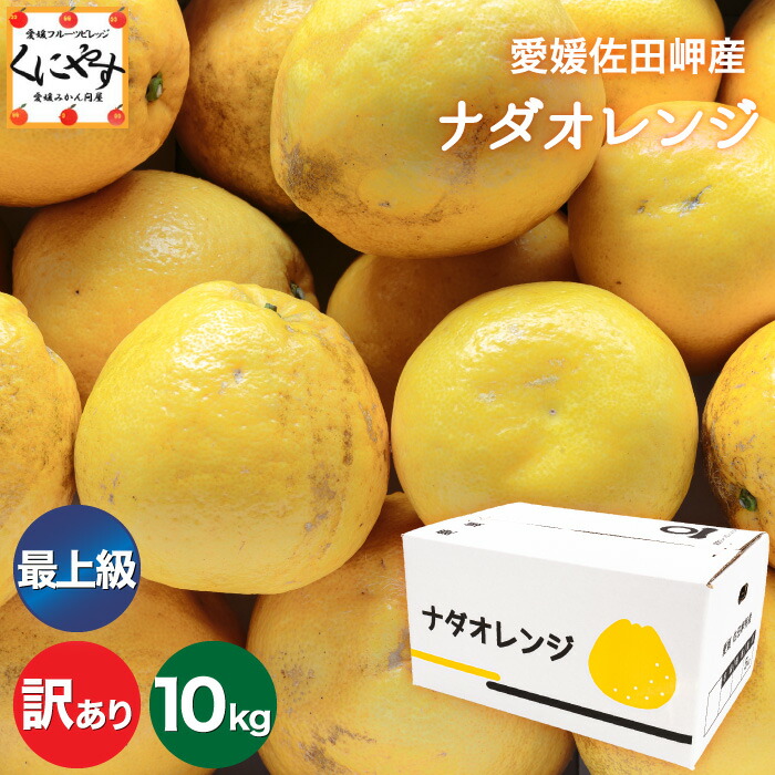 ＼枚数限定！5％OFFクーポン／★限定農家さん 大岩さん のこだわり最上級品★【送料無料】【産地直送】愛媛佐田岬産 ナダオレンジ 訳あり 10kg (5kg×2箱) 別名: 河内晩柑 和製グレープフルーツ 美生柑 愛南ゴールド ジューシーオレンジ 夏文旦 「訳あり最上ナダ5×2」【☆】