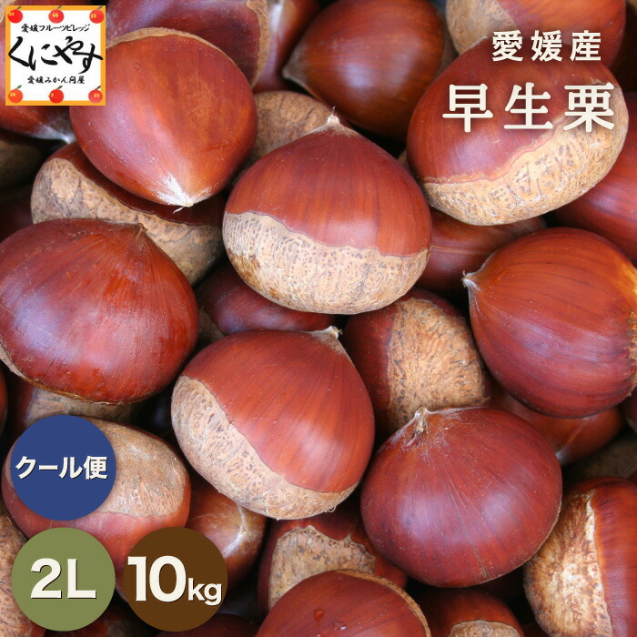 ＼枚数限定！10％OFFクーポン／★秋の味覚のトップバッター★【送料無料】【ギフト】【厳選品】【産地直送】 愛媛産 早生 栗 2Lサイズ 10kg 「愛媛の栗2L10」見た目綺麗 贈答OK 国産 生栗 くり 和栗 【☆】
