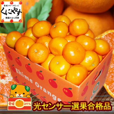 みかん 小玉 3kg 2S-S玉 光センサー 送料無料 愛媛西宇和産 3キロ 小粒 送料込み ミカン「小玉みかん3」