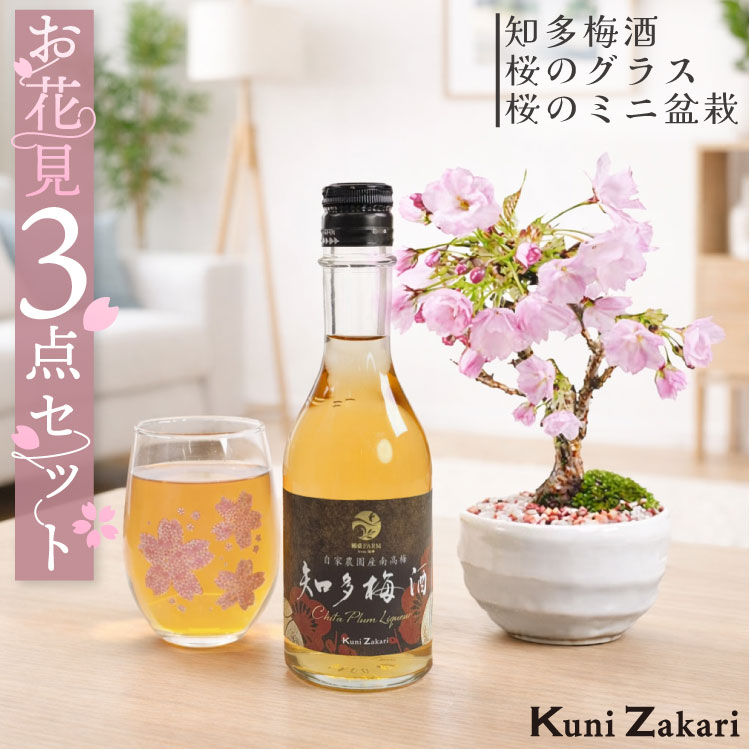 おうちで お花見 梅酒と盆栽セット / 桜 ミニ盆栽 盆栽 ギフト リキュール お酒 セット 梅酒 ギフト お中元 御中元 敬老の日 國盛 中埜酒造 プレゼント 内祝 母の日 父の日 贈答 お歳暮 御歳暮 冬ギフト クリスマス 春 盃 お酒 ギフト