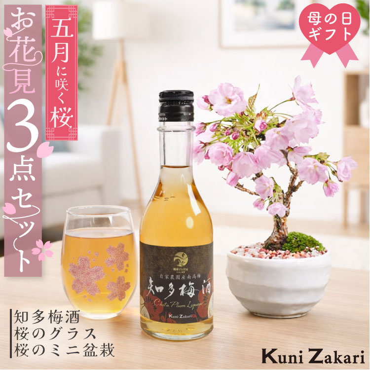 母の日 ギフト おうちで お花見 梅酒と盆栽セット / おしゃれ 桜 ミニ盆栽 盆栽 ギフト リキュール お酒 セット 梅酒 母の日 國盛 中埜酒造 プレゼント 内祝 母の日 贈答 ミニ盆栽 春 盃 母の日ギフト