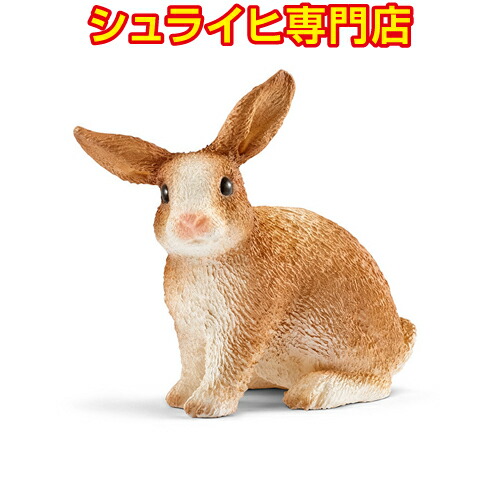 シュライヒ ワイルドライフ コンゴウインコ フィギュア 14737 qqffhab 楽天市場】【シュライヒ専門店】シュライヒ コンゴウインコ