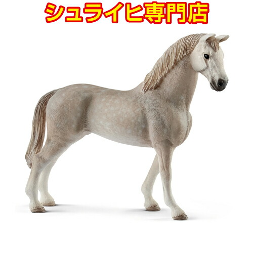 楽天市場】【シュライヒ専門店】シュライヒ ピント馬 オス 13794