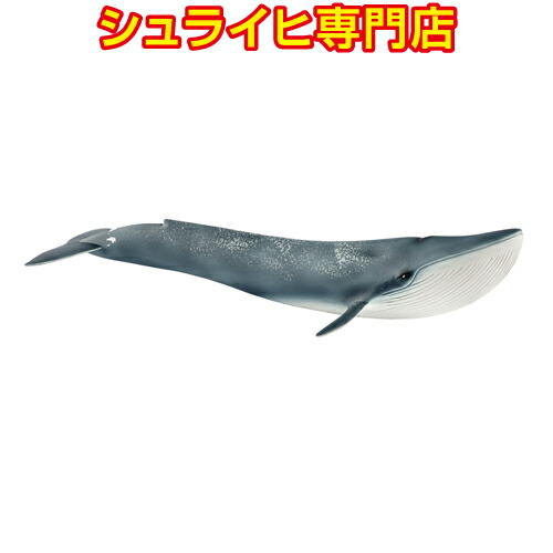 楽天市場】【シュライヒ専門店】シュライヒ マッコウクジラ 14764 動物フィギュア ワイルドライフ Wild Life 海の世界 Ice&Ocean  schleich : クピトイズ