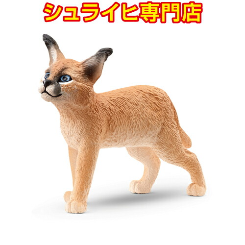 シュライヒ ワイルドライフ キツネ フィギュア 14782 dwos6rj Amazon.co.jp: シュライヒ ワイルドライフ キツネ フィギュア