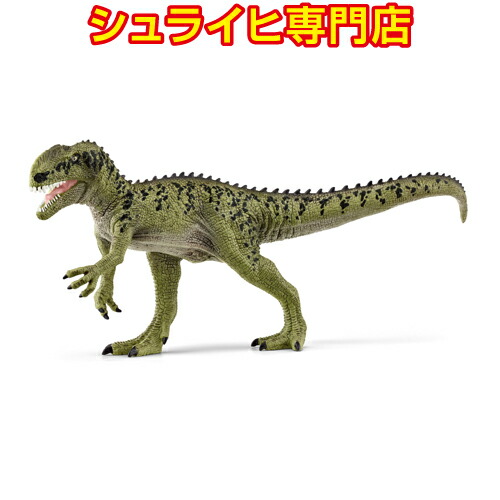 楽天市場】【シュライヒ専門店】シュライヒ アクロカント