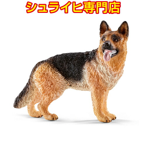 シュライヒ ファームワールド バーニーズ・マウンテンドッグ (メス) フィギュア 16397 9jupf8b 51NYaZu2WYL._UF894,1000_QL80_.jpg