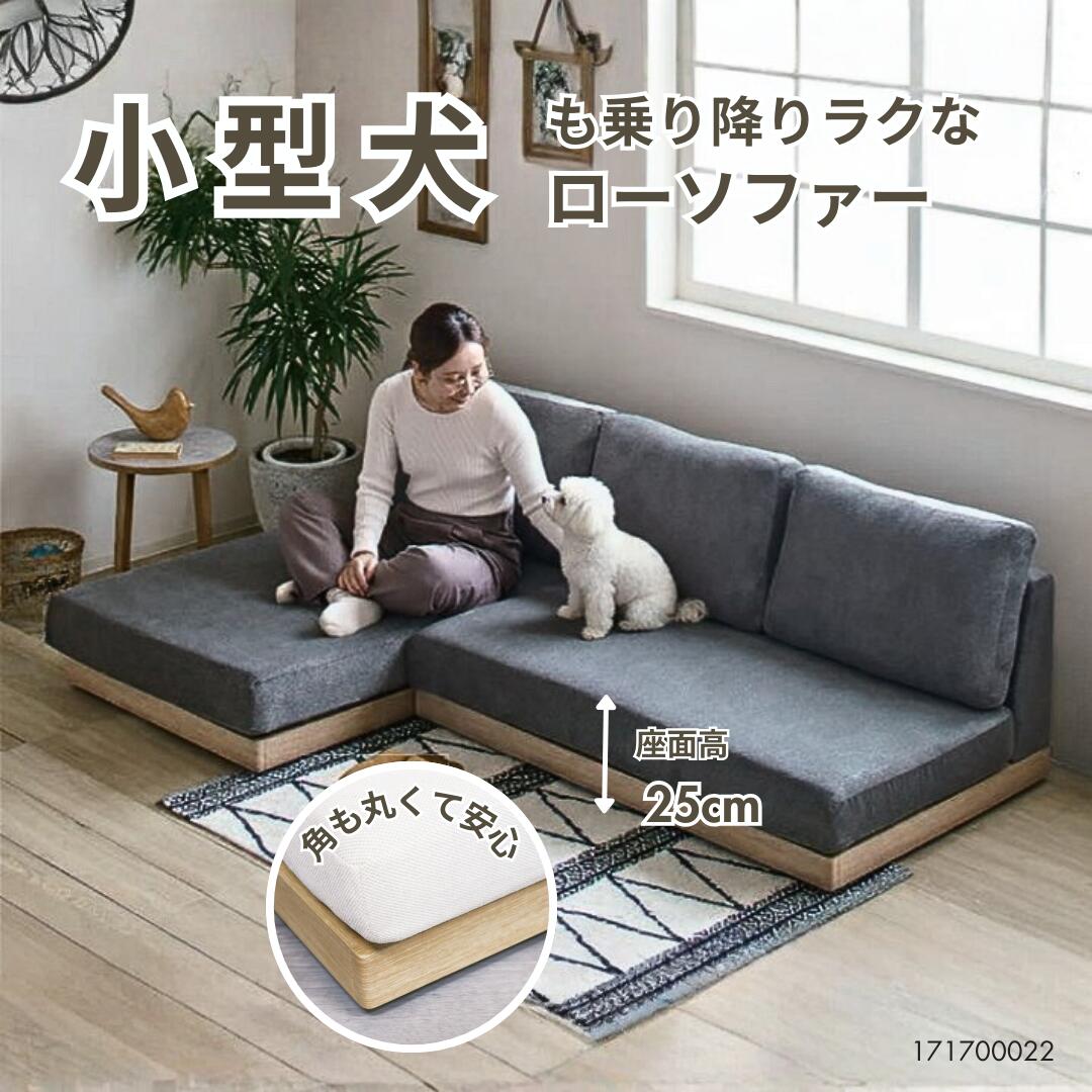 文芸批評服従のお願い
