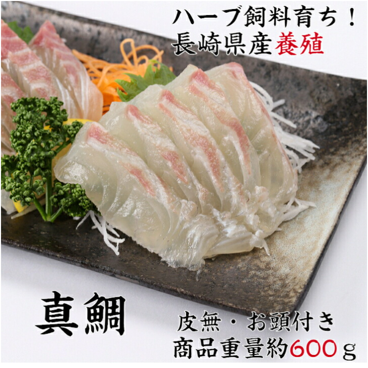 真鯛 マダイ 刺身用 お刺身 活魚 養殖真鯛 寿司ネタ マダイ三枚卸 送料無料 鯛 タイ 真鯛ハーブ仕立て ギフト 贈り物 産地直送 お中元 お歳暮 ギフト プレゼント 贈り物