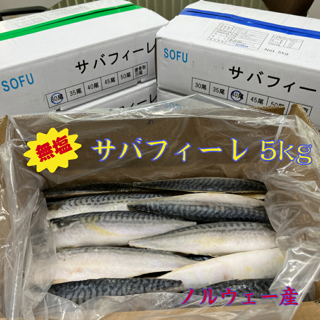 サバフィーレ ノルウェー産 5kg 冷凍 さば 鯖 さばフィーレ 鯖フィーレ 30尾 35尾 40尾 45尾 無塩 フィレ フィーレ  業務用 塩焼き サバフライ 煮つけ