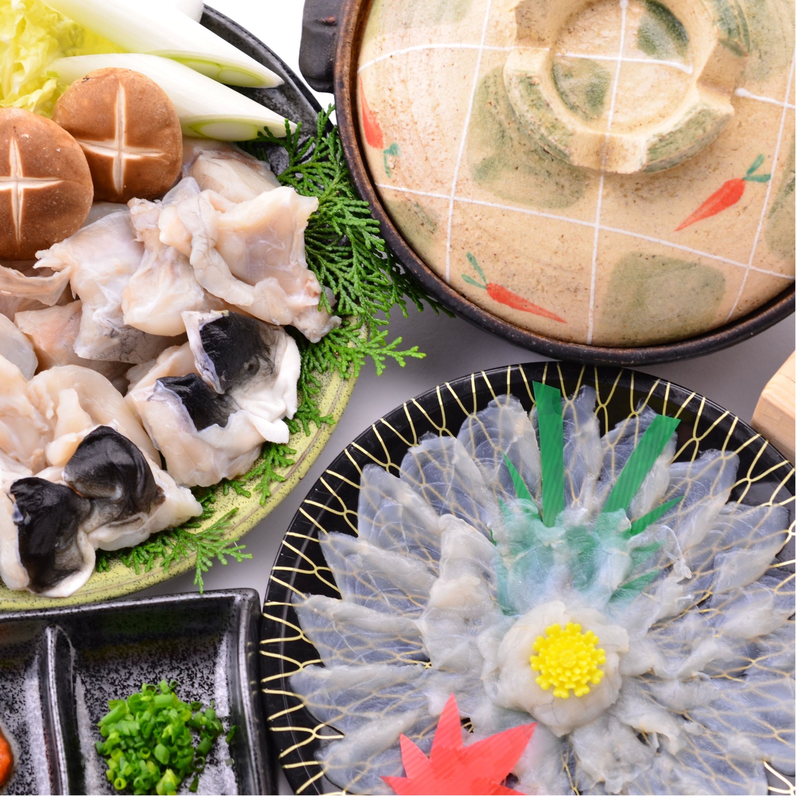国産とらふぐセット4～5人前 ふぐ鍋350g×2、ふぐ刺し60g×2、ふぐひれ×2  トラフグだけ使用 安心贅沢てっさ＆ふぐちりセット【てっちり パ－ティ 鍋セット ふぐ料理 】 送料無料