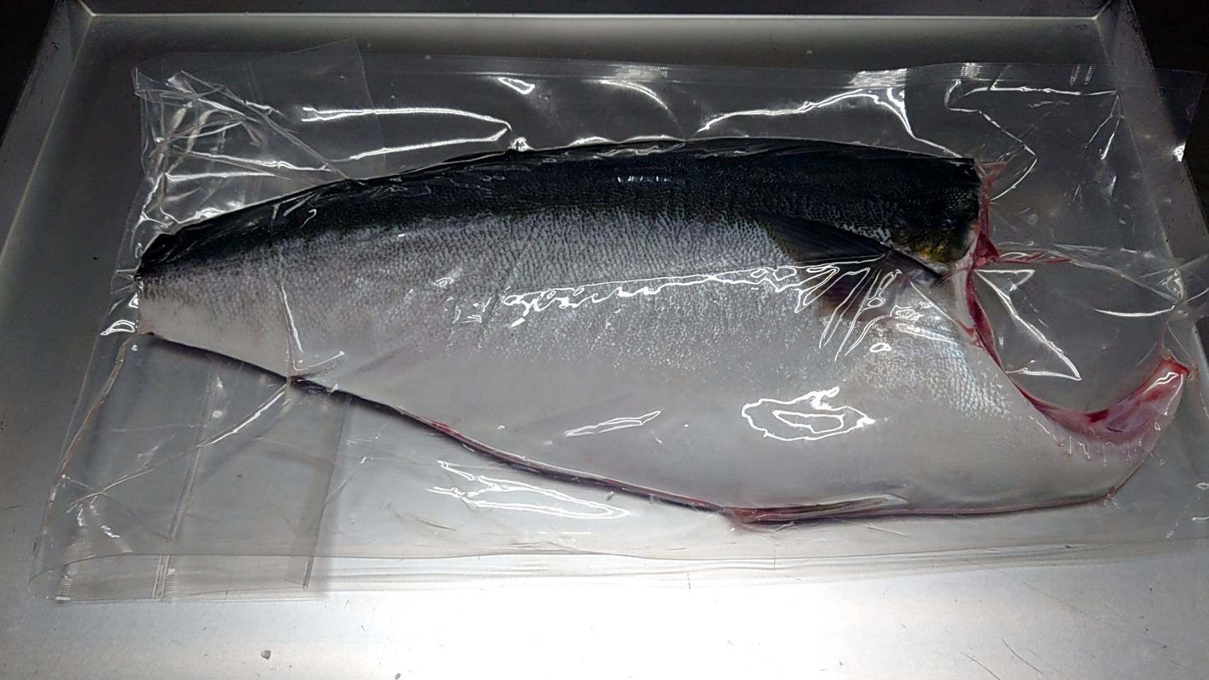オリーブハマチ【CAS冷凍】カマ付き　はまち 活け〆オリーブハマチ《半身1枚》 フィレ 香川ブランド魚 下処理 半身販売 ギフト 自宅用 原体サイズ約4キロ半身 お歳暮 お中元 お土産 名産 人気 有名 ギフ のし