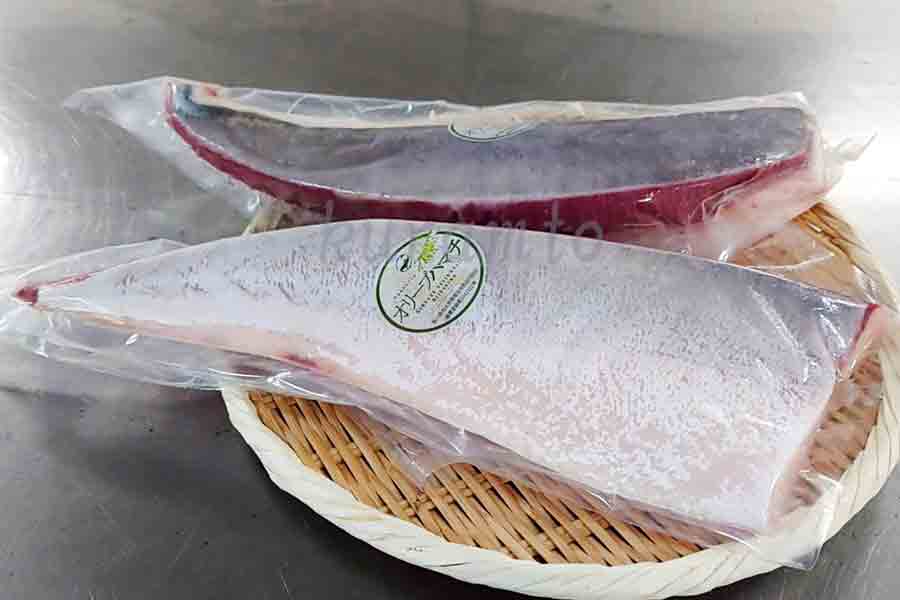 オリーブハマチ【冷凍！！】はまち 活け〆オリーブハマチ《柵2本 900g》 フィレ 香川ブランド魚 下処理 半身販売 ギフト 自宅用 原体サイズ約4キロ半身 お歳暮 お中元 お土産 名産 人気 有名 ギフ のし