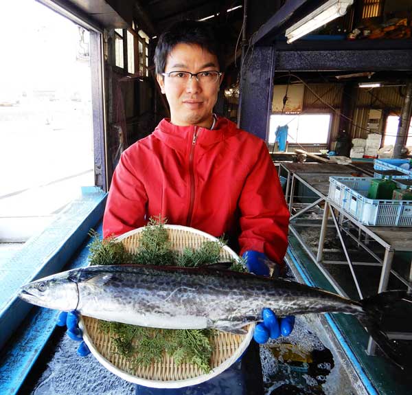 楽天市場 鰆 さわら 瀬戸内 香川県産 天然 鰆を一本丸ごと 3枚おろし可 直送します 約3kサイズ 原体 鮮魚 サワラ の水揚げが有り次第の限定商品となります 旬 おすすめ ごはんのお供 西京焼き お茶漬け お弁当 味噌漬け 粕漬け 天ぷら等 送料無料 瀬戸内