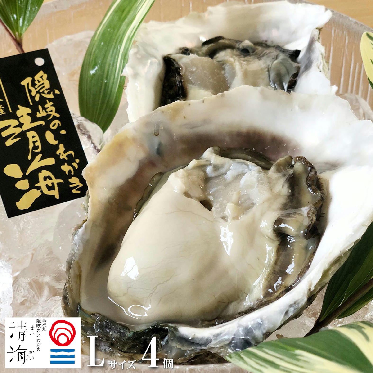 隠岐の島 ブランド 岩牡蠣 いわがき 「清海」 せいかい 生食用 殻付き Lサイズ 300～350ｇ 4個セット 隠岐より直送 （専用ナイフ、軍手、レシピ付き）