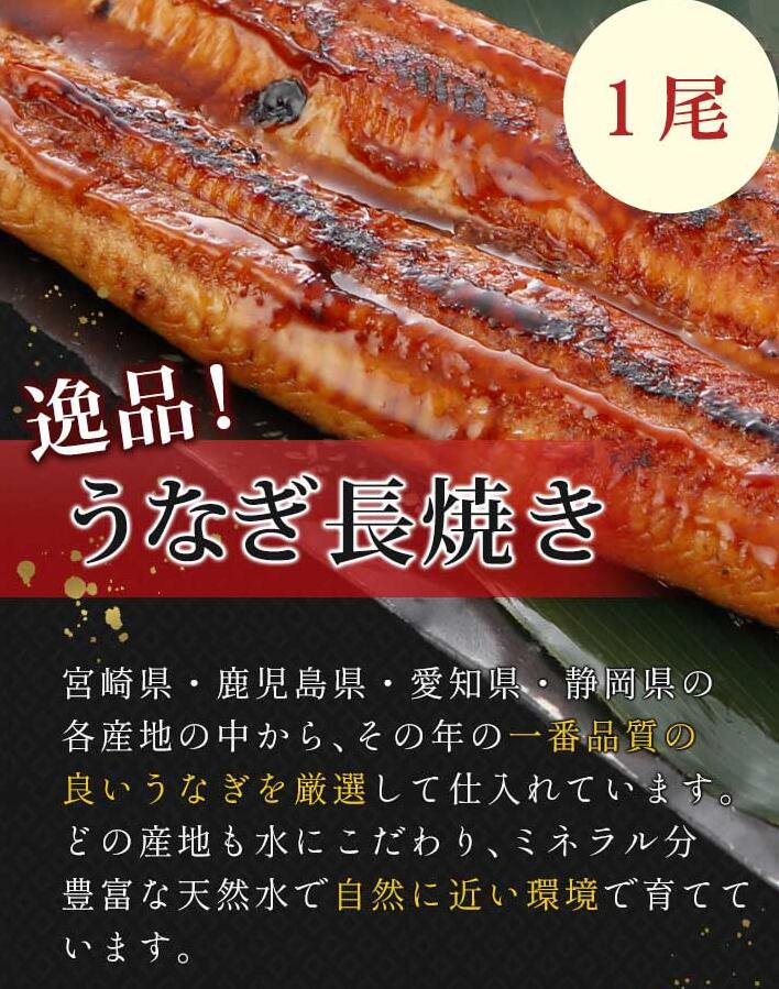 ウナギリーダー焼き 尻っ方 御中元 お中元 九夏贈物 うなぎ 蒲焼き 捧呈 ウナギ 鰻 国産 蒲焼 土用の丑の日付 でかい グールメ 和食 惣菜 おかず ごちそう 海鮮 お手持部分 お取り寄せ 典 変化 内祝い 生まれ落ちる日 おうちごはん Hotjobsafrica Org