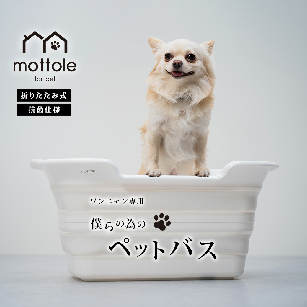 楽天市場】ペット用バスタブ ペットバス 犬 バスタブ 小型 猫足