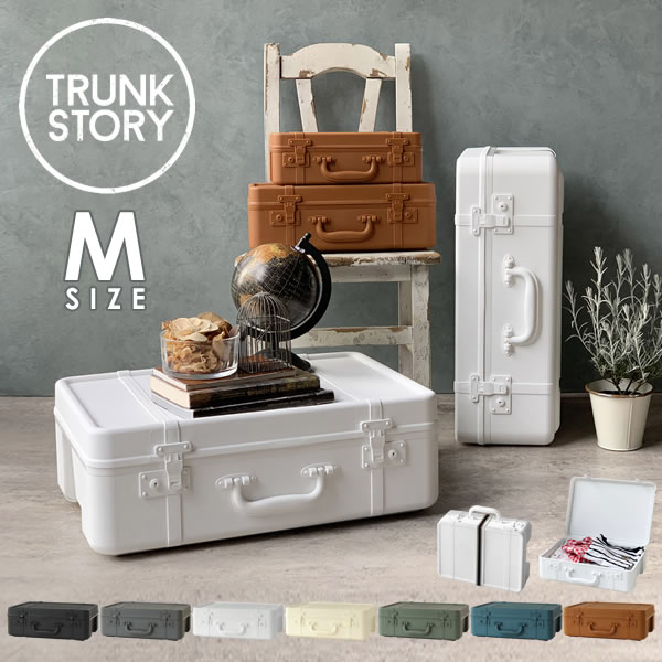 楽天市場 トランクストーリー Trunk Story マルチディスプレイ収納 M 収納ボックス フタ付き おしゃれ プラスチック 持ち手 収納ケース 小物 スタッキング リビング収納 オシャレ 収納 インテリア コスメボックス Sceltevie セルテヴィエ 八幡化成 E暮らしr