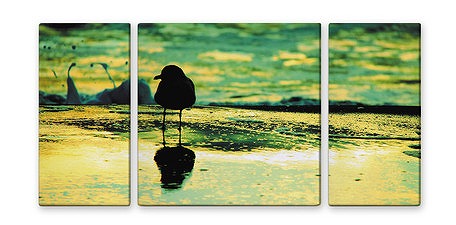 SEAGULL【urban style】［絵画通販］【絵のある暮らし】【壁掛けフックつき】