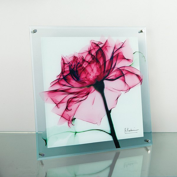 ティールローズ Ｘ−ＲＡＹ ガラスアート Ｌサイズ アート 絵画通販 花